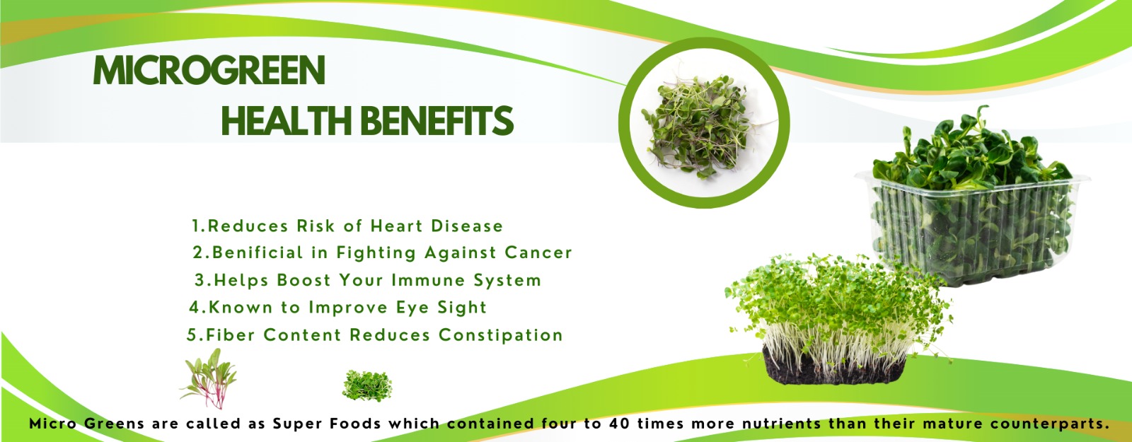 WhatsApp Image 2024-02-27 at 3.53.00 PM (2)