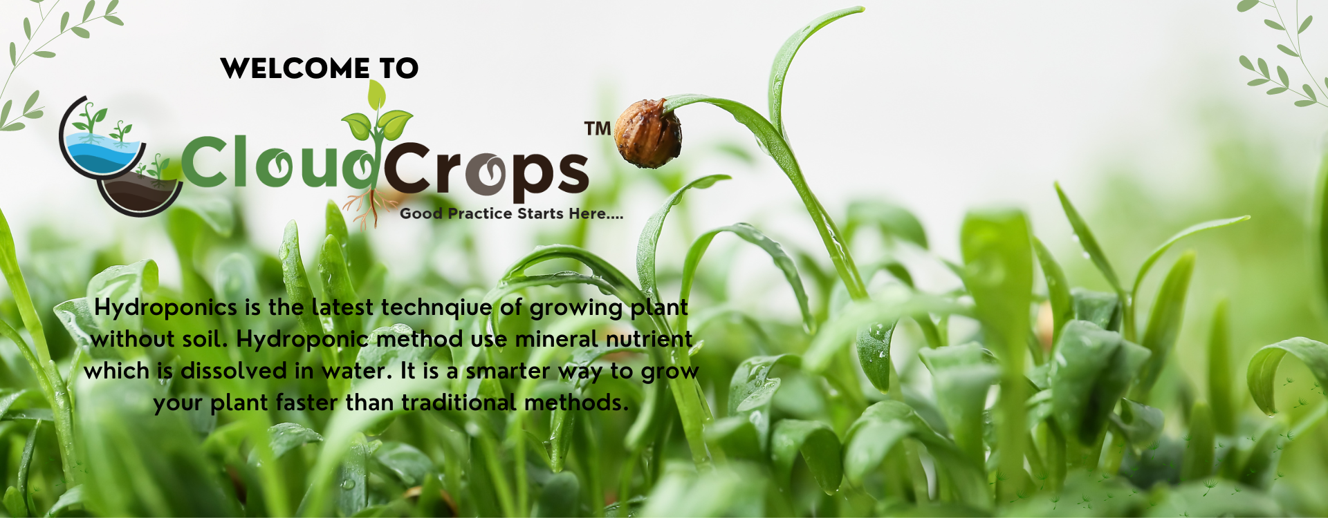 cloud(1920 x 750 px)